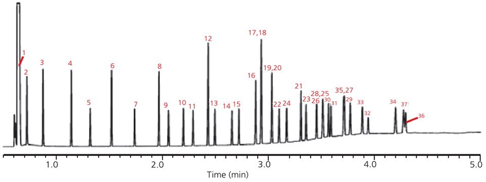 A graph demonstrating the fast GC analysis of a 37-component FAME mix on this polar column.