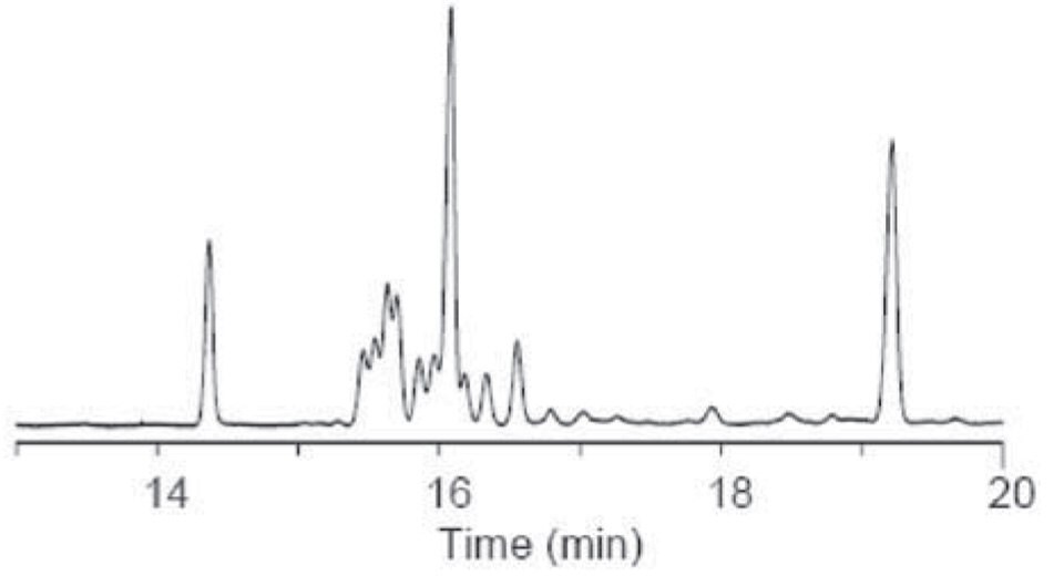 Graph of C18:1 Cis/Trans Isomers on the SP-2560, 75 m x 0.18 mm I.D. x 0.14 μM df.