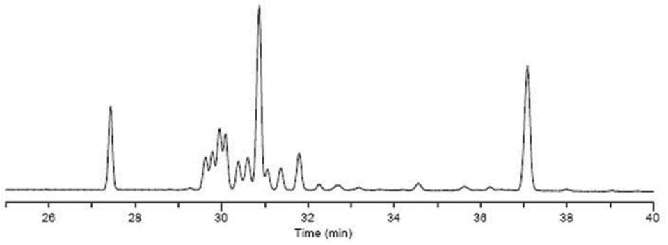 Graph – Resolution of C18:1 Cis/Trans Isomers on SP-2560, 100m x 0.25 mm I.D. x 0.20 μM