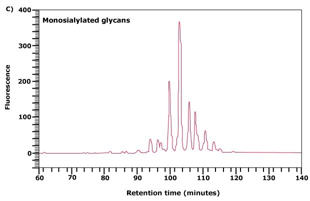 Separation of neutral and acidic glycans of fetuin by weak anion-exchange chromatography