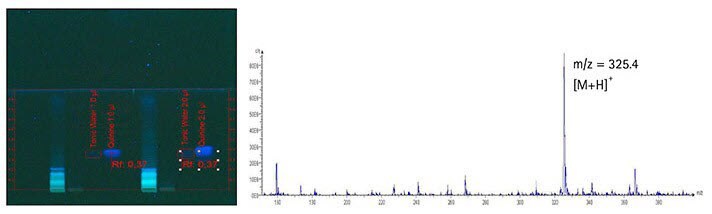 Slide and graph of developed plate at 366 nm and mass spectrum of quinine in tonic water.