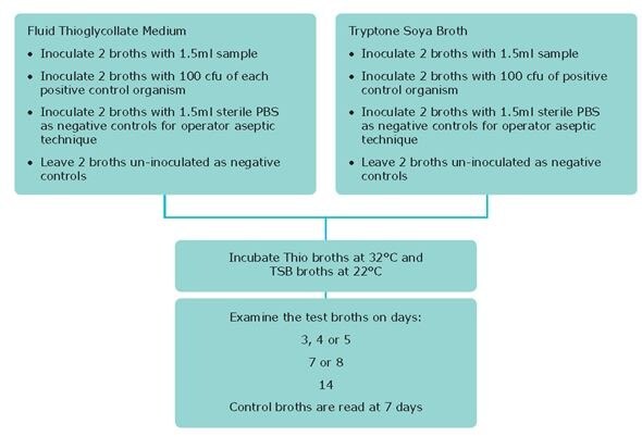 Testing Cells for Bacterial and Fungal Contamination