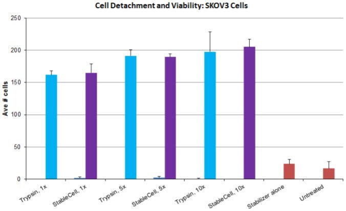 Cell detachment and viability