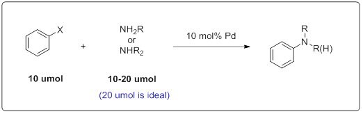 A chemical reaction diagram showing a benzene ring with a substituent "X" and a nitrogen-containing compound (NH2R or NHR2) reacting in the presence of 10 mol% palladium (Pd). The reaction yields a substituted benzene with an amine group, labeled as R and N(R)(H). The diagram indicates the amounts used: 10 umol for the benzene and 10-20 umol for the nitrogen compound, with a note that 20 umol is ideal.