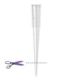 An image showing a clear plastic pipette tip with a dashed line indicating where to cut. Next to the pipette tip, there are purple scissors, suggesting the action of cutting the tip.