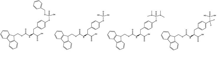 Step-wise synthesis of phosphotyrosine containing peptides