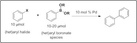 A schematic representation of a palladium-catalyzed cross-coupling reaction between an aryl halide and an aryl boronate species resulting in the formation of a single substituted benzene ring.