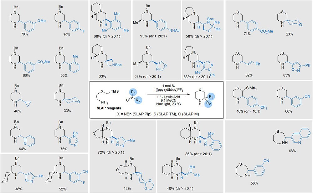 SiLicon Amine Protocol (SLAP) Reagents