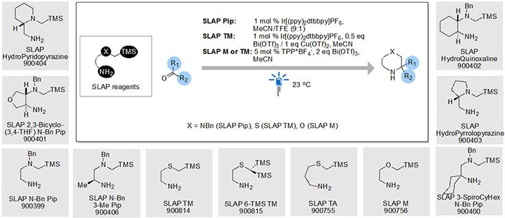 SiLicon Amine Protocol (SLAP) Reagents