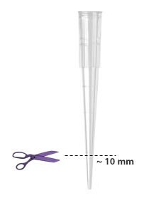 A transparent pipette tip with a dashed line indicating the approximate location to snip the end, about 10 millimeters from the tip. A pair of purple scissors is depicted to the left of the dashed line, suggesting the cutting action.