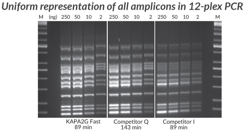 Multiplex PCR (12-plex) performed with the KAPA2G Fast Multiplex PCR Kit, Competitor Q, and Competitor I.