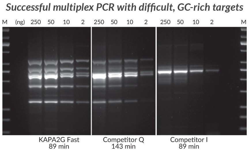 GC 함량이 높은 Multiplex PCR(6-플렉스)은 KAPA2G Fast Multiplex PCR 키트, Competitor Q 및 Competitor I로 수행되었습니다.