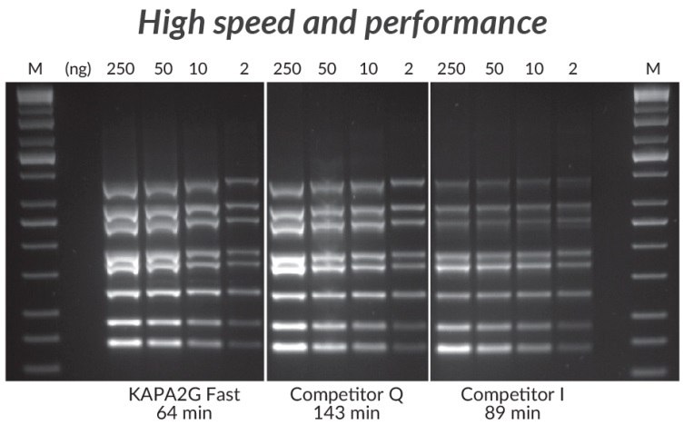 Multiplex PCR (8-plex) performed with the KAPA2G Fast Multiplex PCR Kit, Competitor Q, and Competitor I.