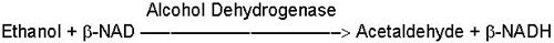 Alcohol Dehydrogenase Reaction