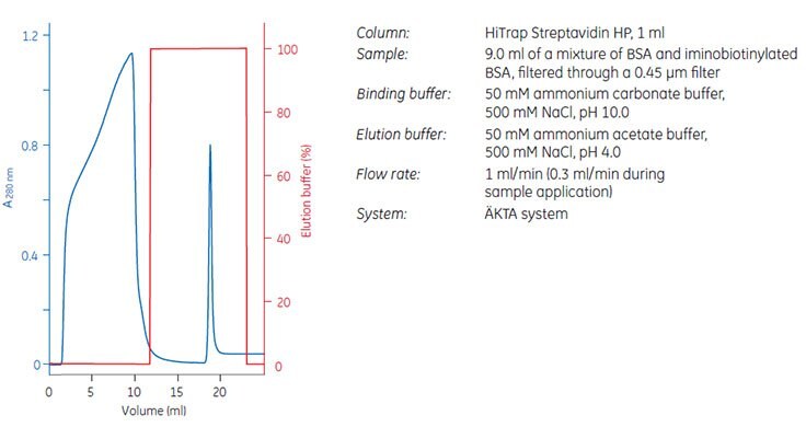 Purifcation of iminobiotinylated BSA on HiTrap Streptavidin HP, 1 mL.