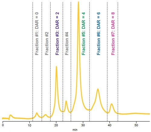 HIC separation of native ADC Mimic demonstrating fractions collected for LC-UV-MS analysis