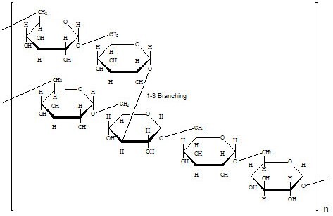 Specific Rotation