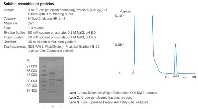 Puriﬁcation of recombinant proteins on HiTrap® Chelating HP, 5 mL, charged with Zn2+