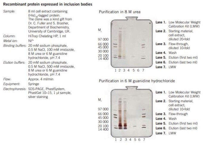 Puriﬁcation of (His)10-tagged protein from inclusion bodies on HiTrap® Chelating HP, 1 mL, charged with Ni2+