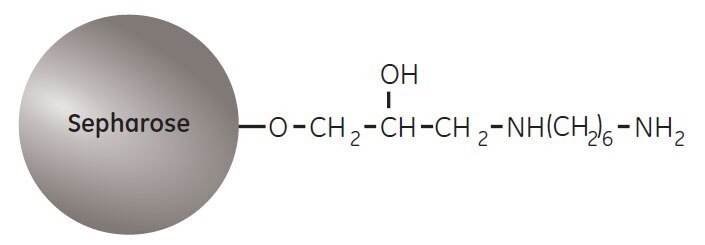 partial structure of eah