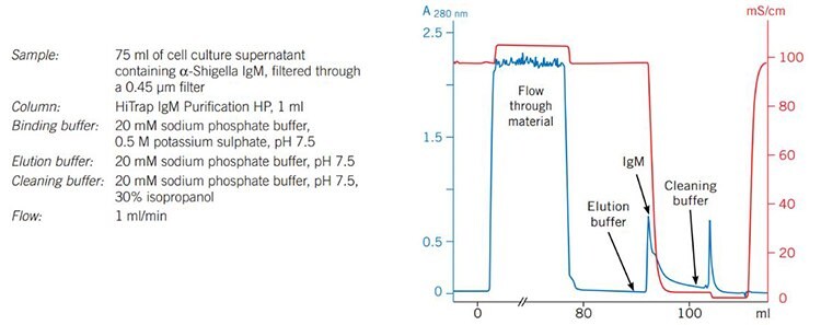 Purifcation of α-Shigella IgM on HiTrap® IgM Purifcation HP.