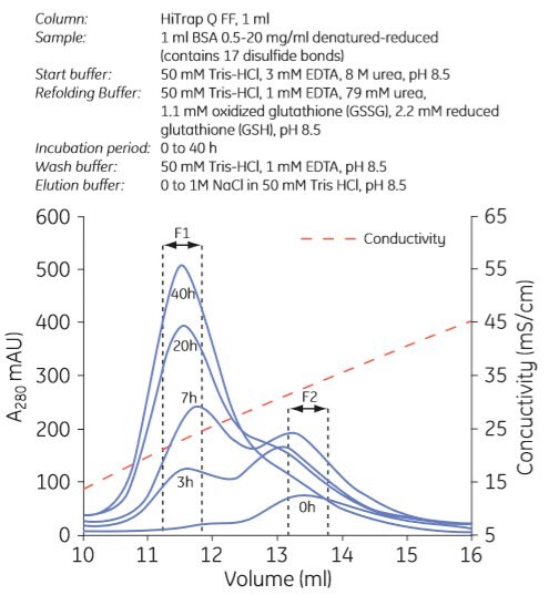 Refolding of albumin using anion exchange chromatography