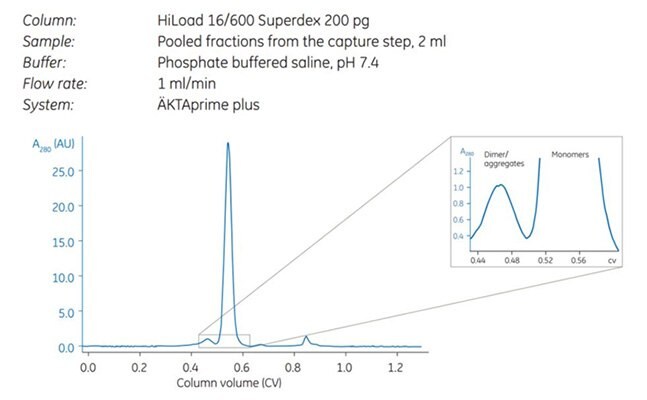 Note the separation between dimers and monomers (magniﬁed).