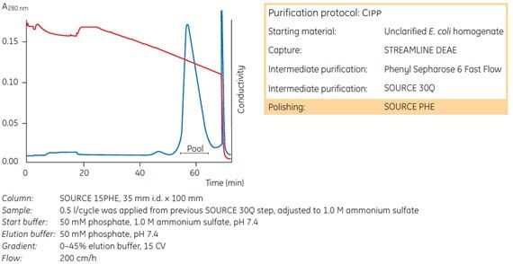 SOURCE™ 15PHE used as the final polishing step in a large-scale purification of a recombinant protein, rExotoxin A (PE553D).