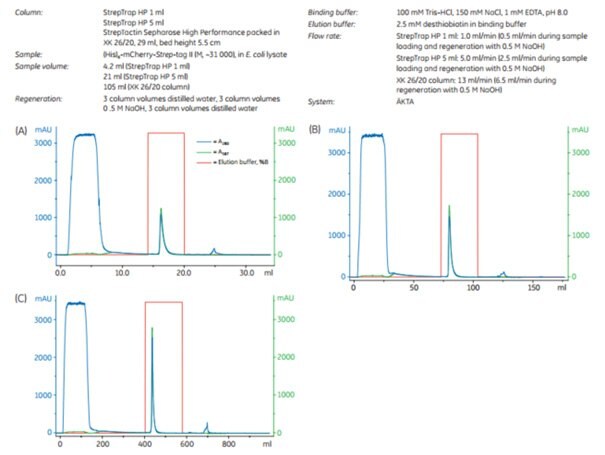 Scaling up the puriﬁcation