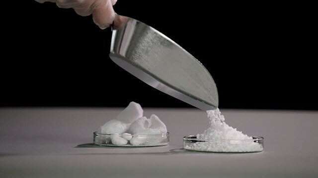 White granulated material is being poured into a petri dish on a gray counter.