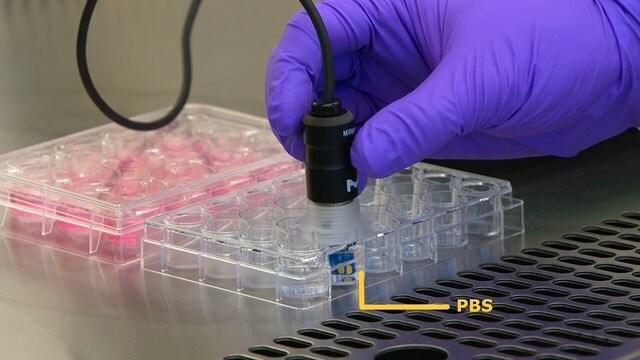 Millicell<sup>®</sup> ERS 3.0 – How-to-use Video Series – Chapter 5: Proper Electrode Cleaning and Storage