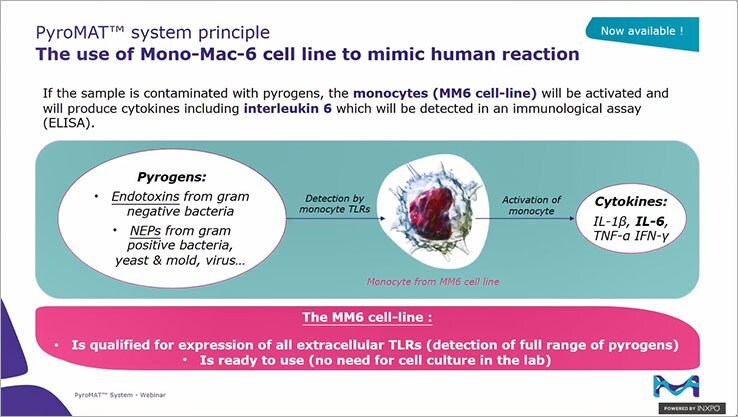 PyroMAT® system principle, The use of Mono-Mac-6 cell line to mimic human reaction