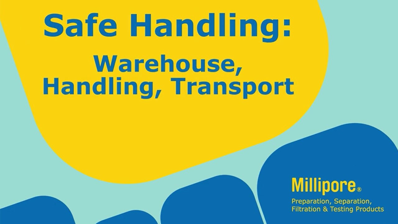 Safe Handling: Warehouse, Handling, and Transport 