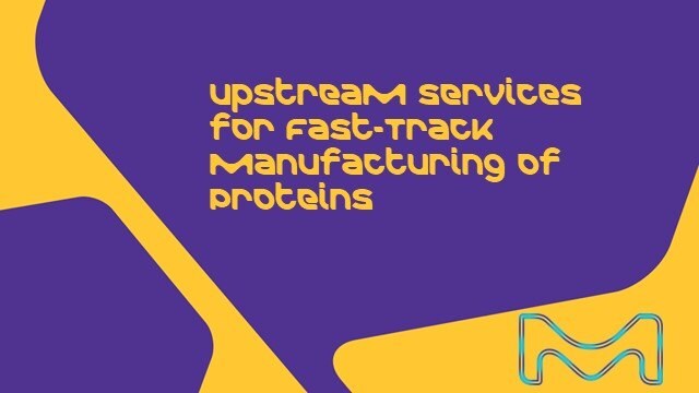 Upstream Services for Fast-track Manufacturing of Proteins