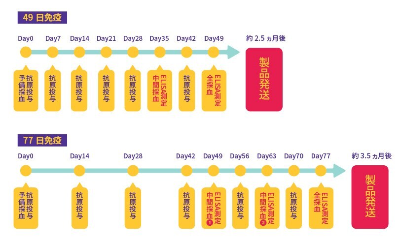 フレキシブル抗体免疫スケジュール例