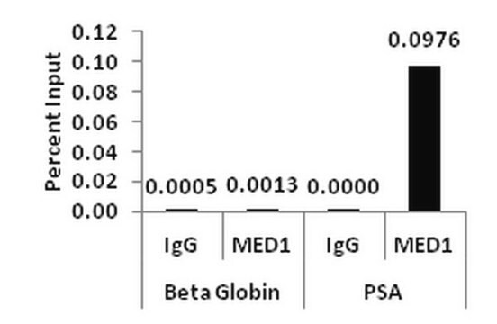 ChIPAb+ MED1 Antibody - ChIP Validated Antibody and Primer Set from rabbit, purified by affinity chromatography