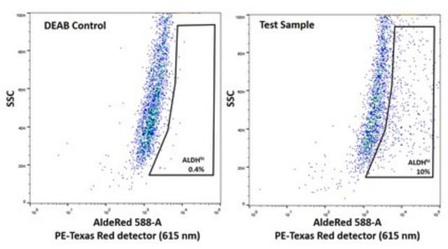 UM-SCC-47 HPV-16 Positive Squamous Carcinoma Cell Line suitable in vitro model of H&amp;N carcinoma studies