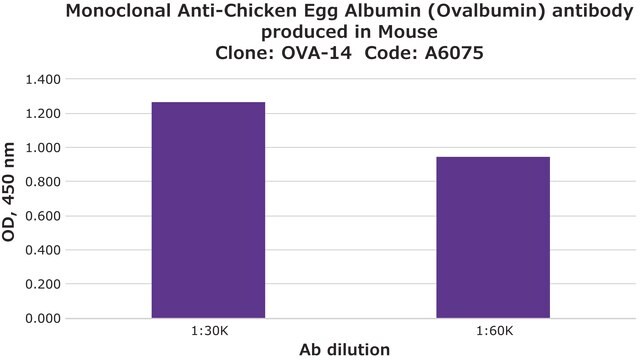 Monoclonal Anti-Chicken Egg Albumin (Ovalbumin) antibody produced in mouse clone OVA-14, ascites fluid