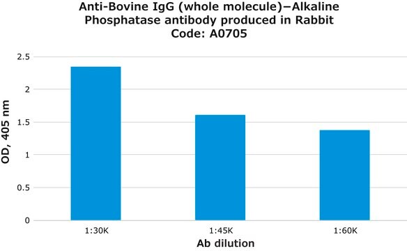 Anti-Bovine IgG (whole molecule)&#8722;Alkaline Phosphatase antibody produced in rabbit affinity isolated antibody