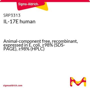 IL-17E human Animal-component free, recombinant, expressed in E. coli, &#8805;98% (SDS-PAGE), &#8805;98% (HPLC)