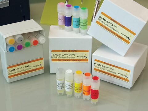 QLAM-A&#946;I&#948;1LVproS-13CH3 Methyl Labeling Kit