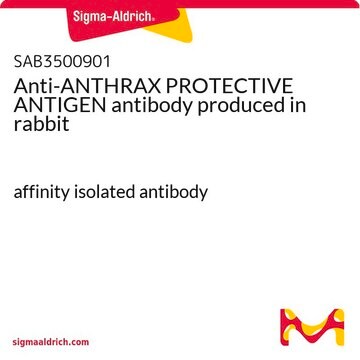 Anti-ANTHRAX PROTECTIVE ANTIGEN antibody produced in rabbit affinity isolated antibody