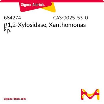 &#946;1,2-Xylosidase, Xanthomonas sp.