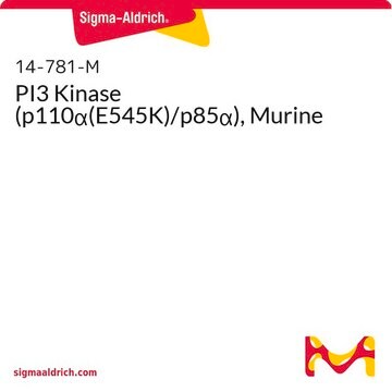 PI3 Kinase (p110&#945;(E545K)/p85&#945;), Murine