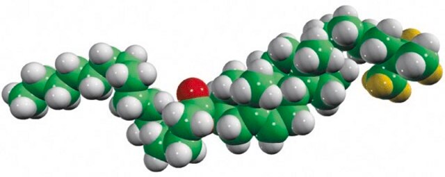 16:0 cholesteryl-d7 ester Avanti Research&#8482; - A Croda Brand 700149P, powder