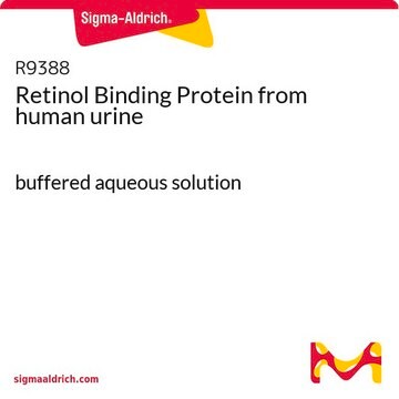 Retinol Binding Protein from human urine buffered aqueous solution