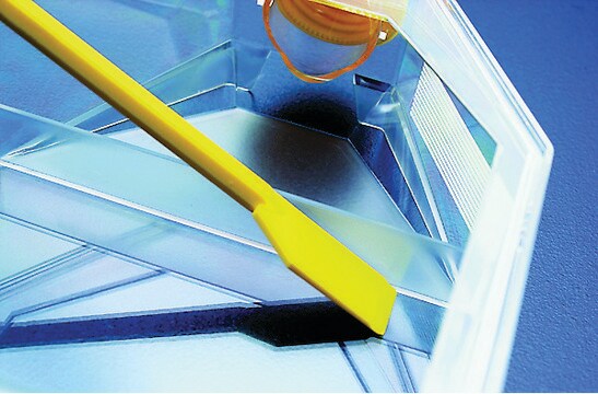 TPP&#174; cell culture spatula