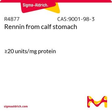 Rennin from calf stomach &#8805;20&#160;units/mg protein