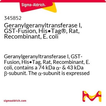 Geranylgeranyltransferase I, GST-Fusion, His&#8226;Tag&#174;, Rat, Recombinant, E. coli Geranylgeranyltransferase I, GST-Fusion, His&#8226;Tag, Rat, Recombinant, E. coli, contains a 74 kDa &#945;- &amp; 43 kDa &#946;-subunit. The &#945;-subunit is expressed as a GST-fusion construct with an N-terminal His&#8226;Tag.