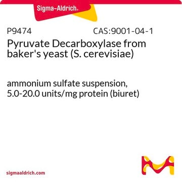 Pyruvate Decarboxylase from baker’s yeast (S.&#160;cerevisiae) ammonium sulfate suspension, 5.0-20.0&#160;units/mg protein (biuret)